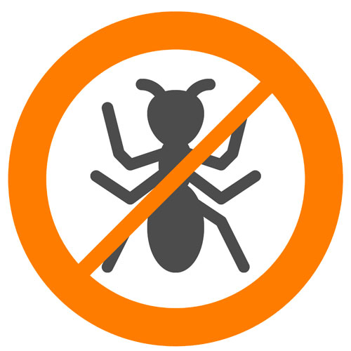 eliminar hormigas malaga