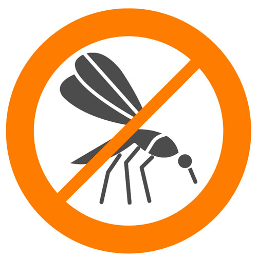 eliminar mosquitos malaga