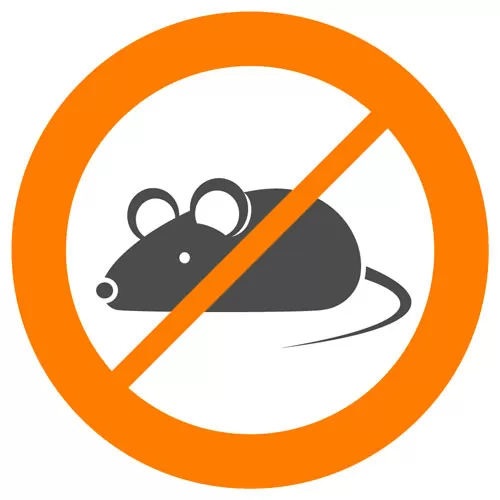 eliminate rats malaga