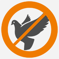 control aves coin