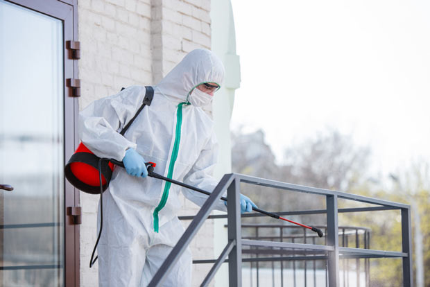 empresa de fumigación en Alhaurín el Grande
