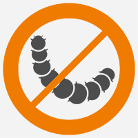 Tratamiento carcoma coin